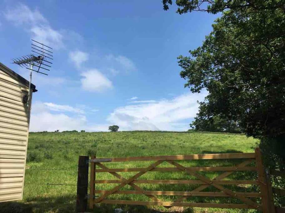 Park Gate, Colyton, Farm,Near Beaches-'Annie' Exterior photo